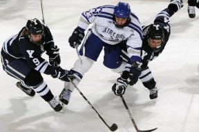 弗朗索瓦·斯图尔特：稳定发挥为南非队保持优势，主宰比赛节奏