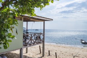 绿色场馆覆盖智能环保系统，推动全球体育绿色低碳行动，绿色场馆建设